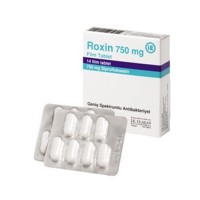 Roxin 750 Ibrahim Etem